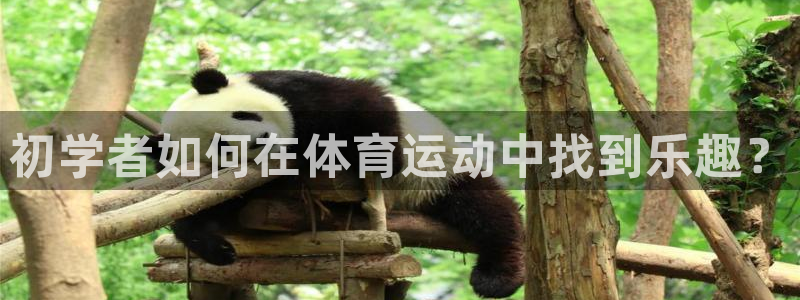 意昂包