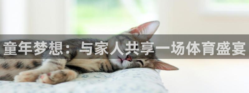 佛山市南海意昂机电仪器有限公司