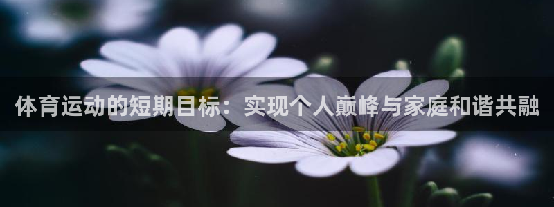 意昂32代理注册