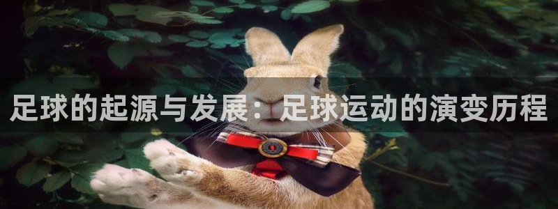 意昂3体育平台总代理