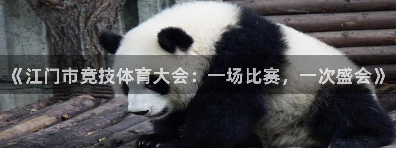 意昂3注册
