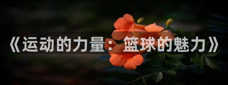 意昂3体育3