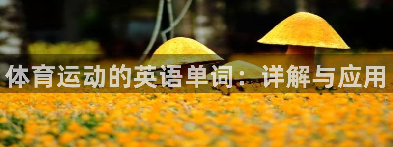 意昂33官网