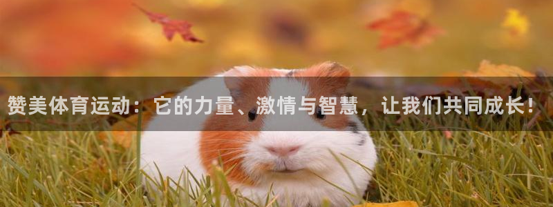 上海意昂3汽车电子有限公司
